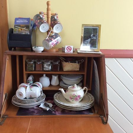 Catlins Retreat B & B Owaka Екстер'єр фото